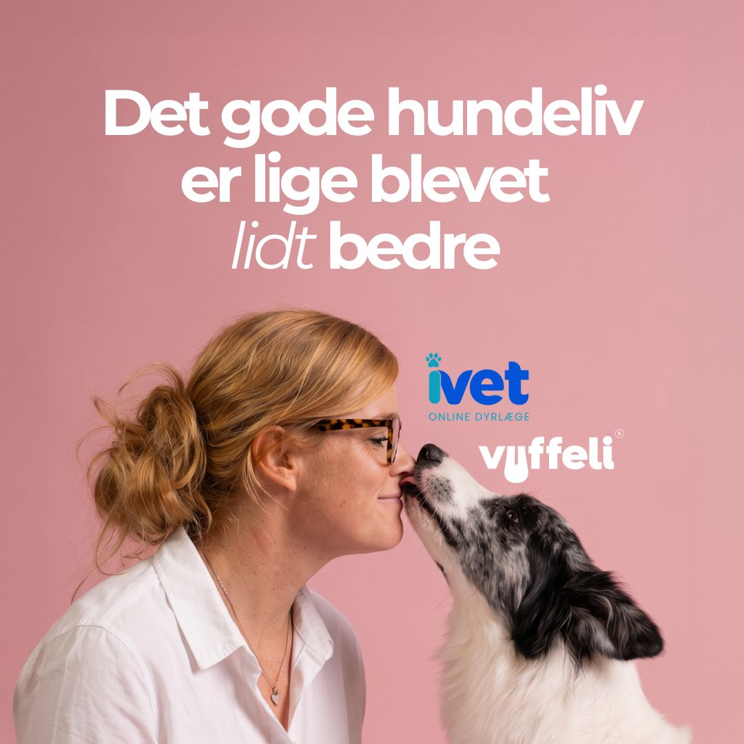 Vuffeli and iVet.dk Enter Strategic Partnership
