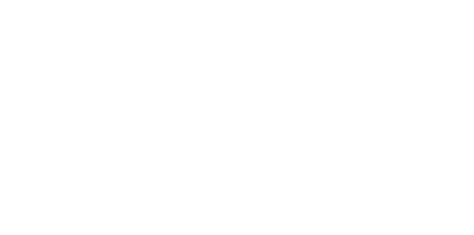 bareen-logo