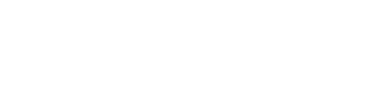bareen-logo