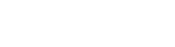 bareen-logo