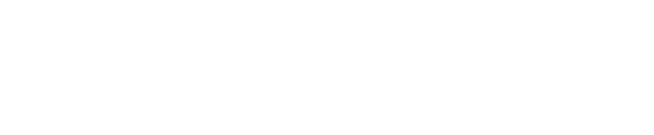 bareen-logo