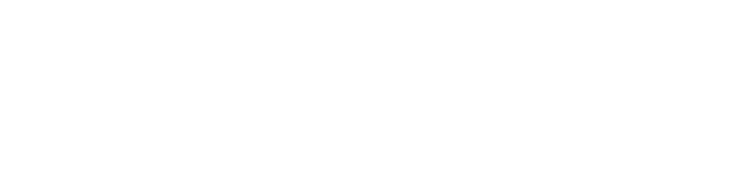 bareen-logo