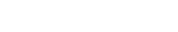 bareen-logo