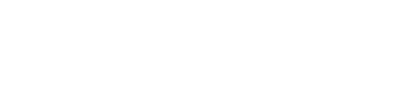bareen-logo